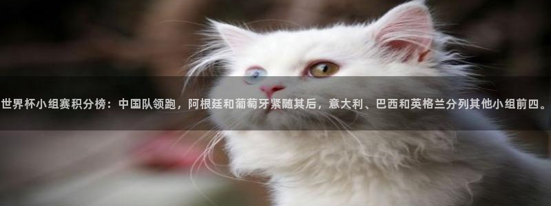 2026世界杯亚洲区预选赛赛程：世界杯小组赛积分榜：中国队领跑，阿根廷和葡萄牙紧随其后，意大利、巴西和英格兰分列其他小组前四。