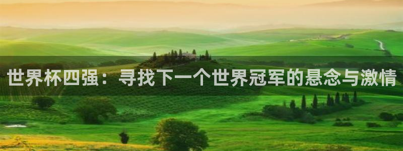 世界杯在线直播入口：世界杯四强：寻找下一个世界冠军的悬念与激情