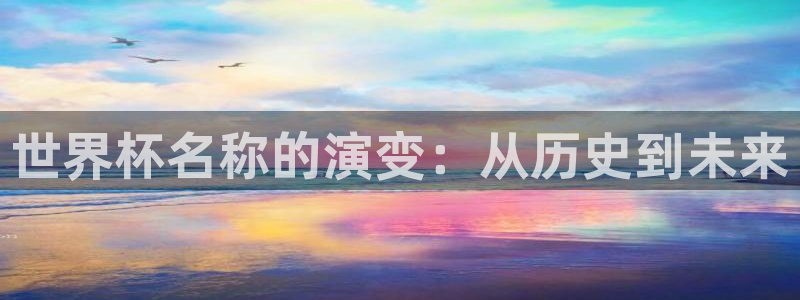世界杯欧洲预选赛：世界杯名称的演变：从历史到未来