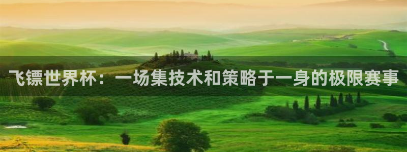 世界杯预选赛赛程：飞镖世界杯：一场集技术和策略于一身的极限赛事