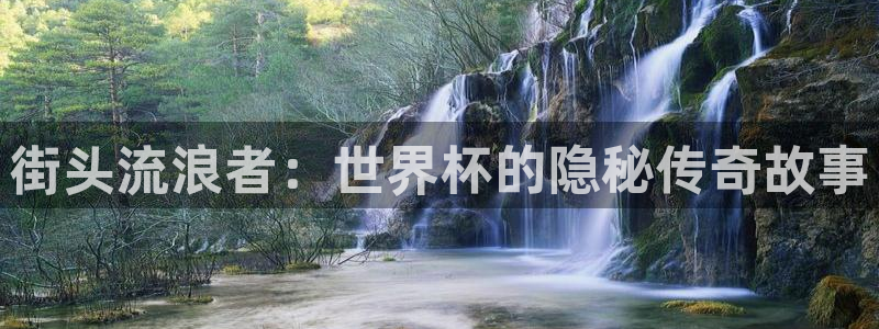 美国世界杯：街头流浪者：世界杯的隐秘传奇故事