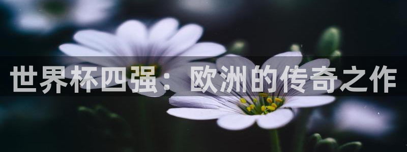 世界杯在线直播：世界杯四强：欧洲的传奇之作
