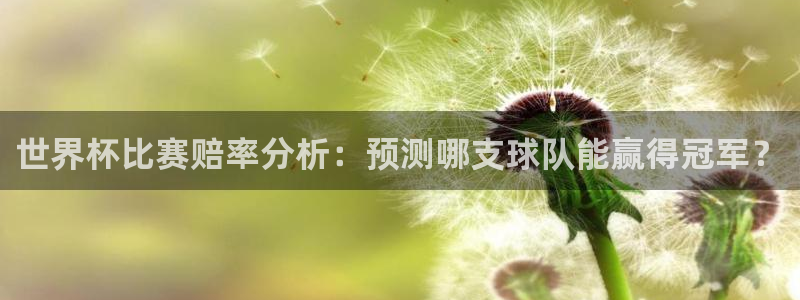 女足世界杯直播：世界杯比赛赔率分析：预测哪支球队能赢得冠军？