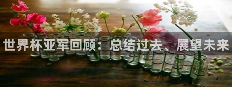 中国 世界杯：世界杯亚军回顾：总结过去、展望未来