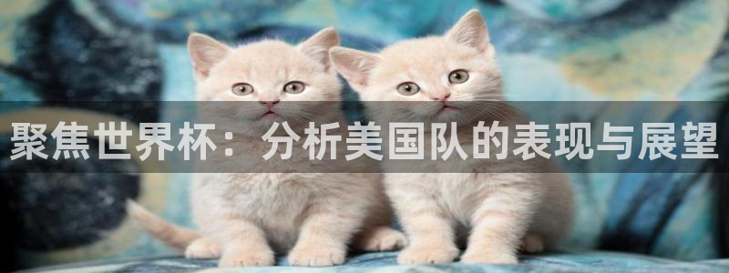 西超杯直播：聚焦世界杯：分析美国队的表现与展望