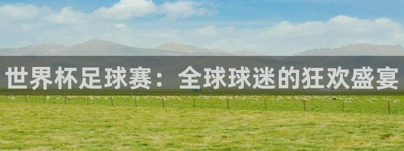 英格兰联赛杯直播：世界杯足球赛：全球球迷的狂欢盛宴