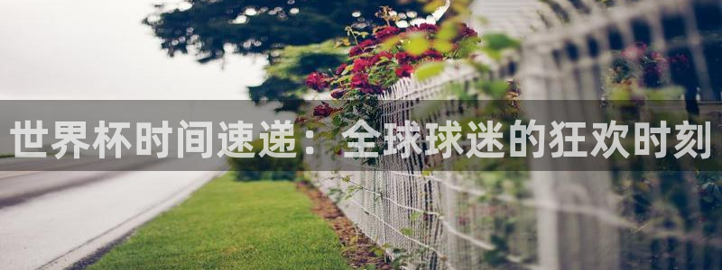 看世界杯：世界杯时间速递：全球球迷的狂欢时刻
