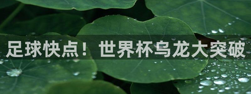 世界杯预选赛亚洲区积分榜：足球快点！世界杯乌龙大突破