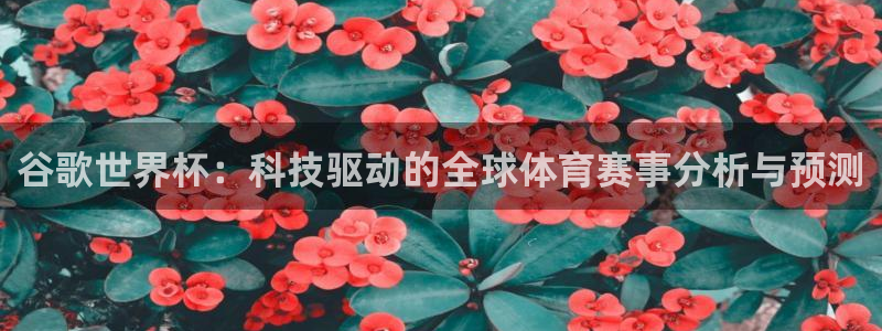 足球杯：谷歌世界杯：科技驱动的全球体育赛事分析与预测