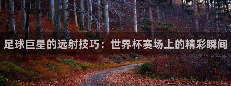 澳门世界杯直播：足球巨星的远射技巧：世界杯赛场上的精彩瞬间